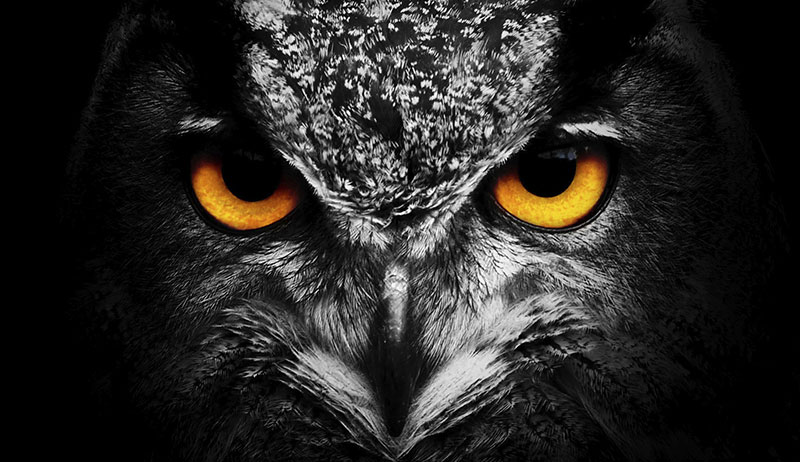 Agencia Nómade - Búho Producción Integral