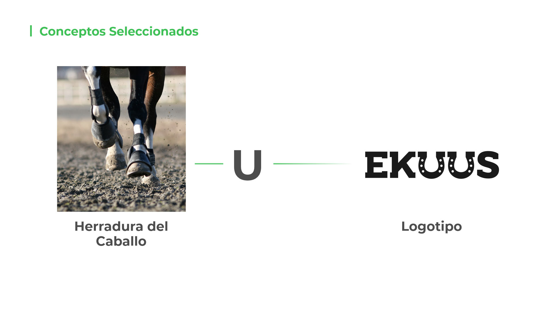 Agencia Nómade - Ekuus
