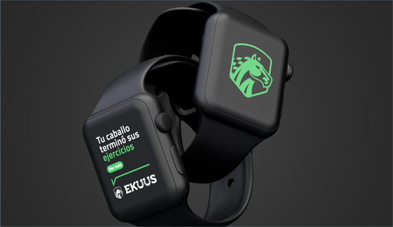 Agencia Nómade - Ekuus