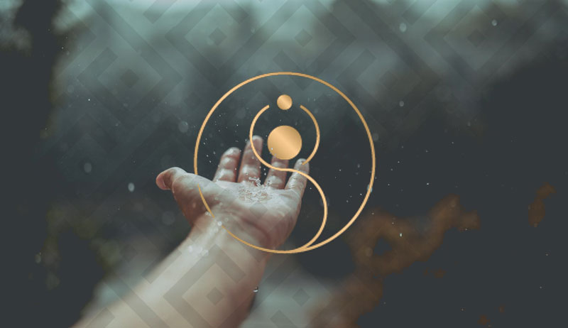 Agencia Nómade - Fiorelina