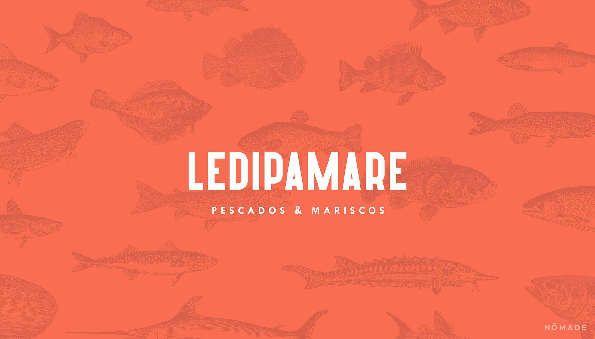 Agencia Nomade - Ledipamare