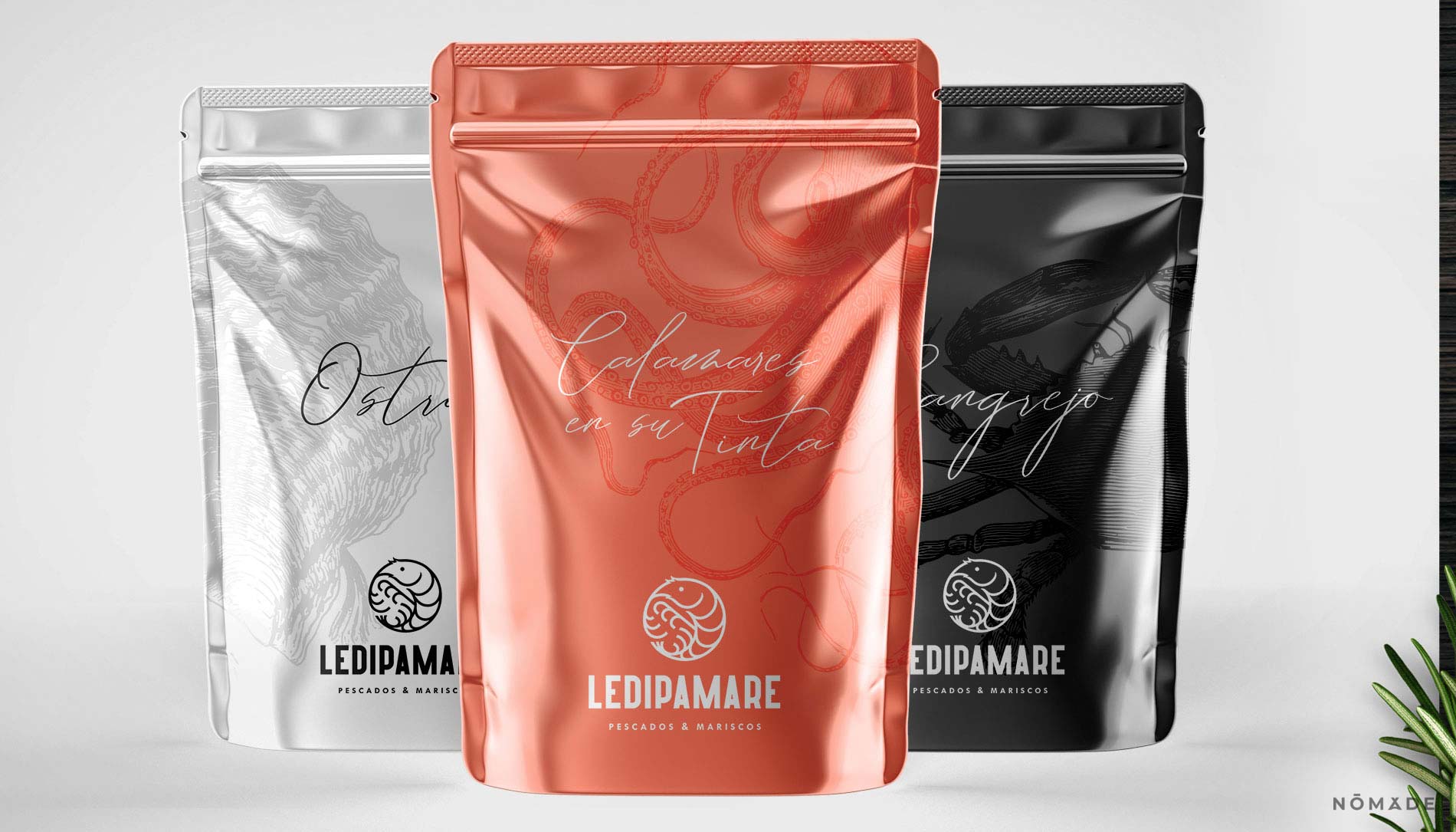 Agencia Nomade - Ledipamare