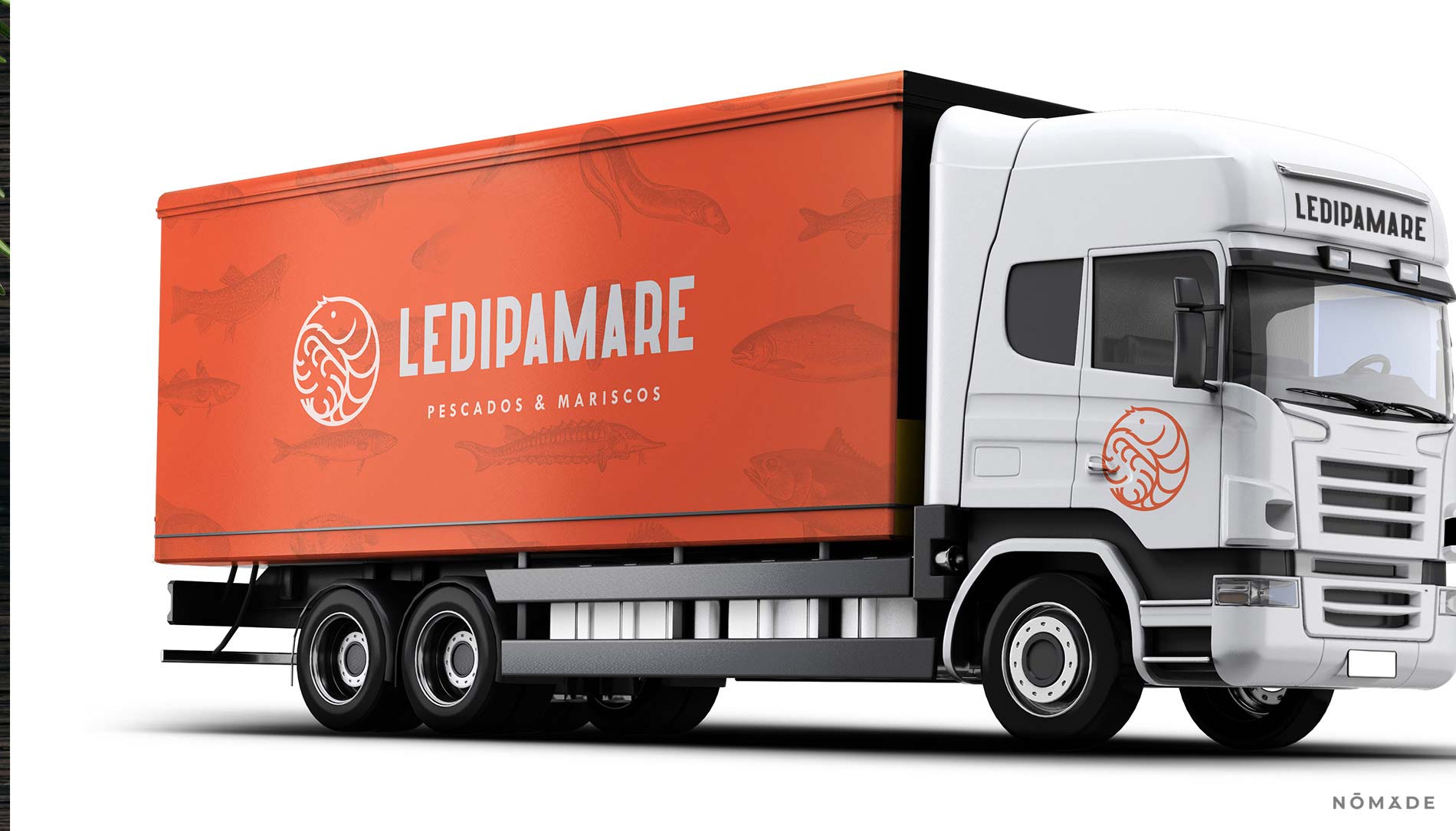 Agencia Nomade - Ledipamare