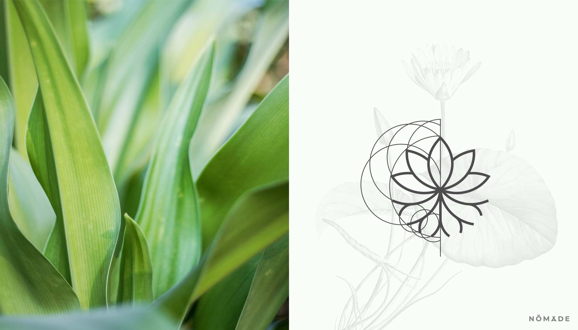 Agencia Nómade - NEODHERM