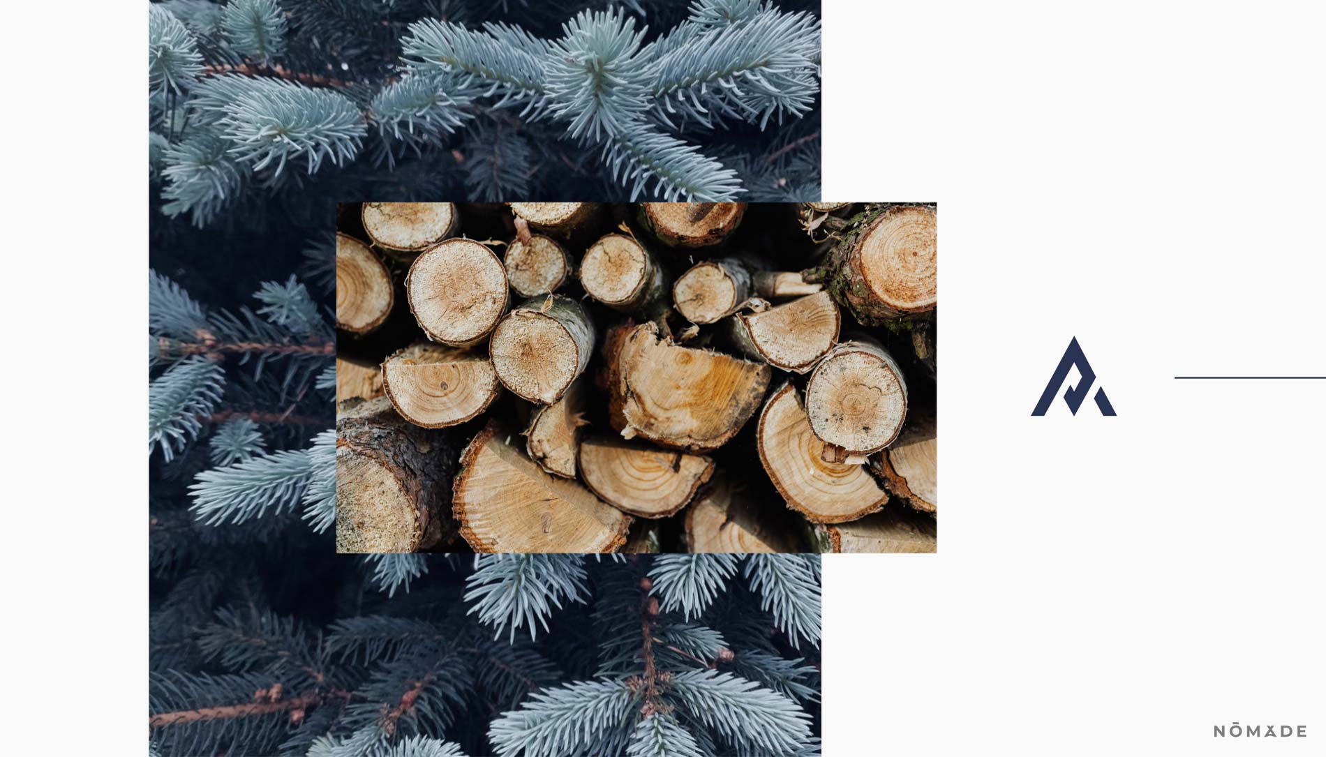 Agencia Nómade - Pino Azul